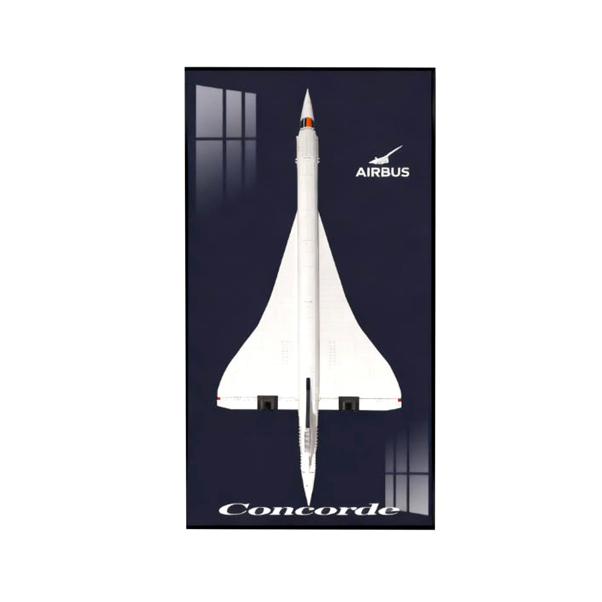 Display Wallboard for Lego 10318 Concorde Building Sets, Compatible with 10318 Concorde Display Frame, Ideas for Lego Wall Mount Display Lovers- 60 x 120 CM, Only Frame (Decorative Painting D)