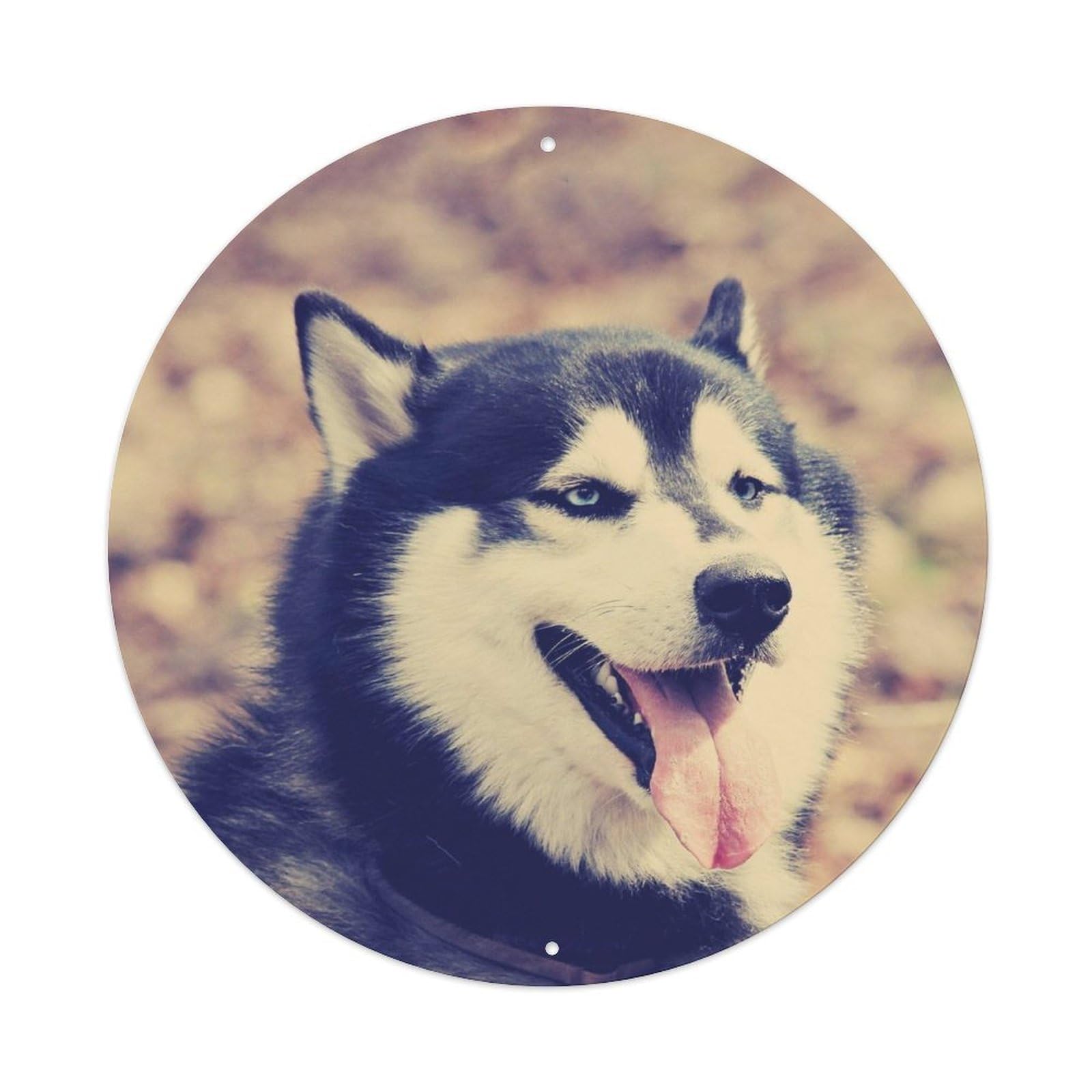 Cute Husky Pet Dog Snowy Vintage Illustration Metal Tin Sign