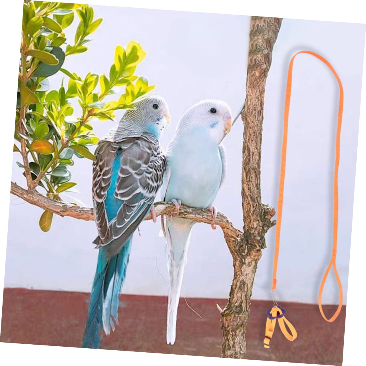 COSMEVIVI 2 Pcs Pet Pulling Rope Turtle Lizard Leash Animal Harness Home Outdoor Party Use Leash