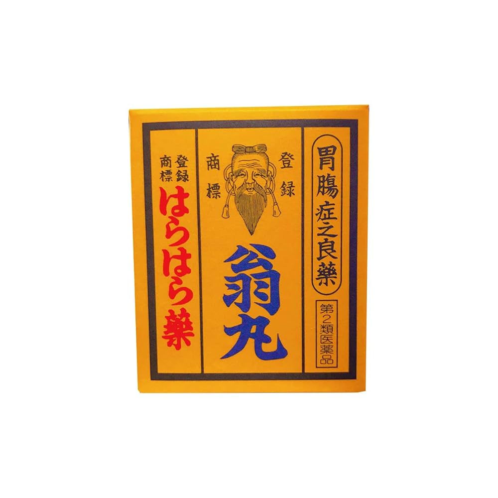 Amazon | 【第2類医薬品】はらはら薬 翁丸 120錠 | 日本製薬株式