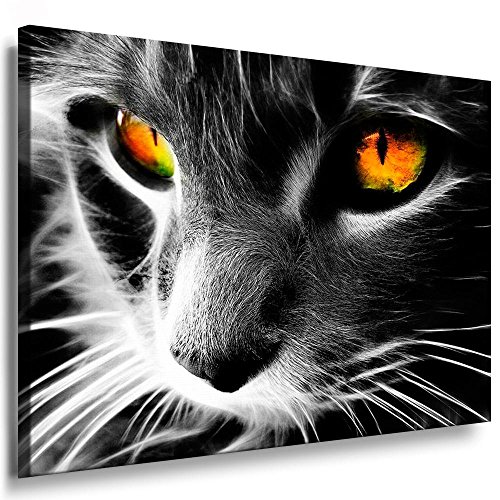 '' Photos leinwand24 - Animaux abstrait chat/AA0057/photos toile sur châssis 40 x 30 cm Orange Cover