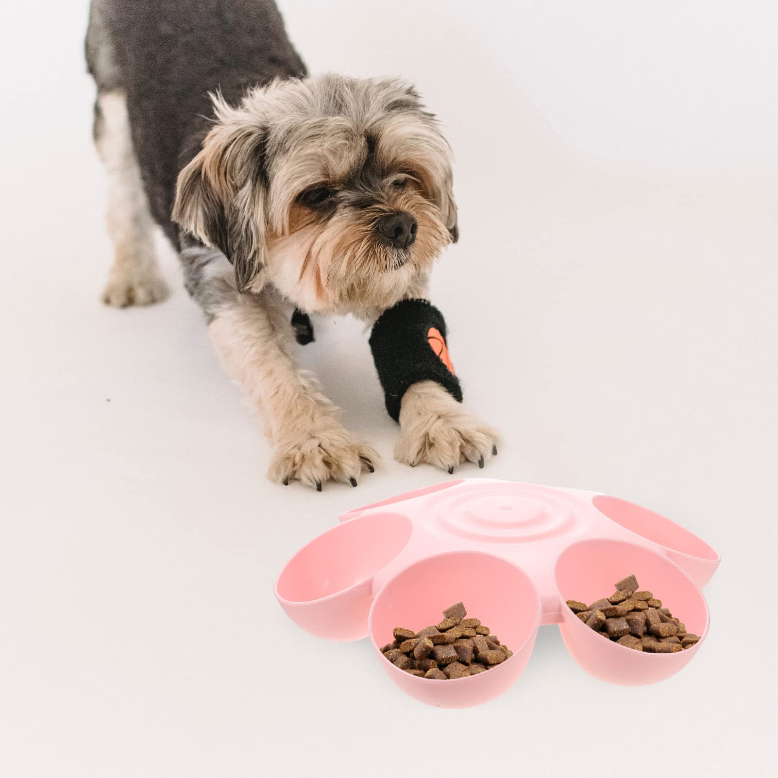 Balacoo Cuenco para Mascotas Flores Decorativo para Varios Cachorros y Gatos Comedero para Mascotas Plato para Gatos