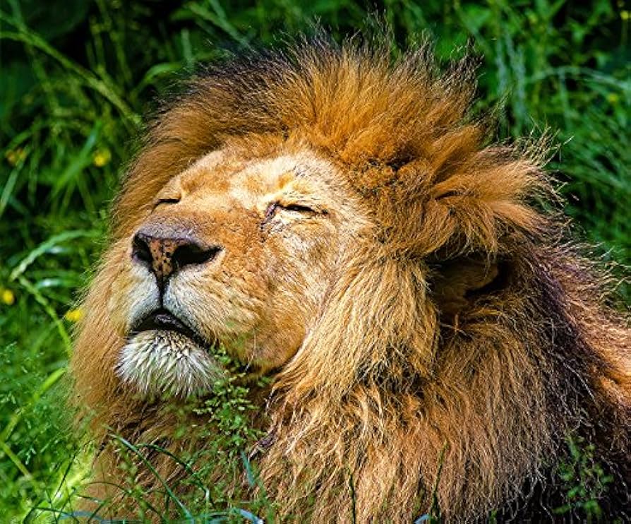 ジョンヒョン 写真集 写真、マウスパッド ジョンヒョン 写真集 写真、マウスパッド