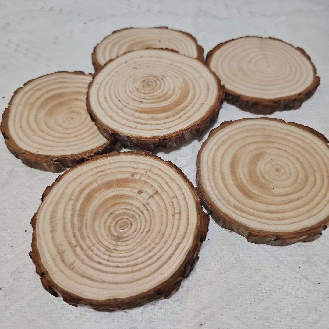 結婚式　ゲストテーブル　切り株プレート　丸株プレート　10枚セット 結婚式 ゲストテーブル 切り株プレート 丸株プレート 10枚セット