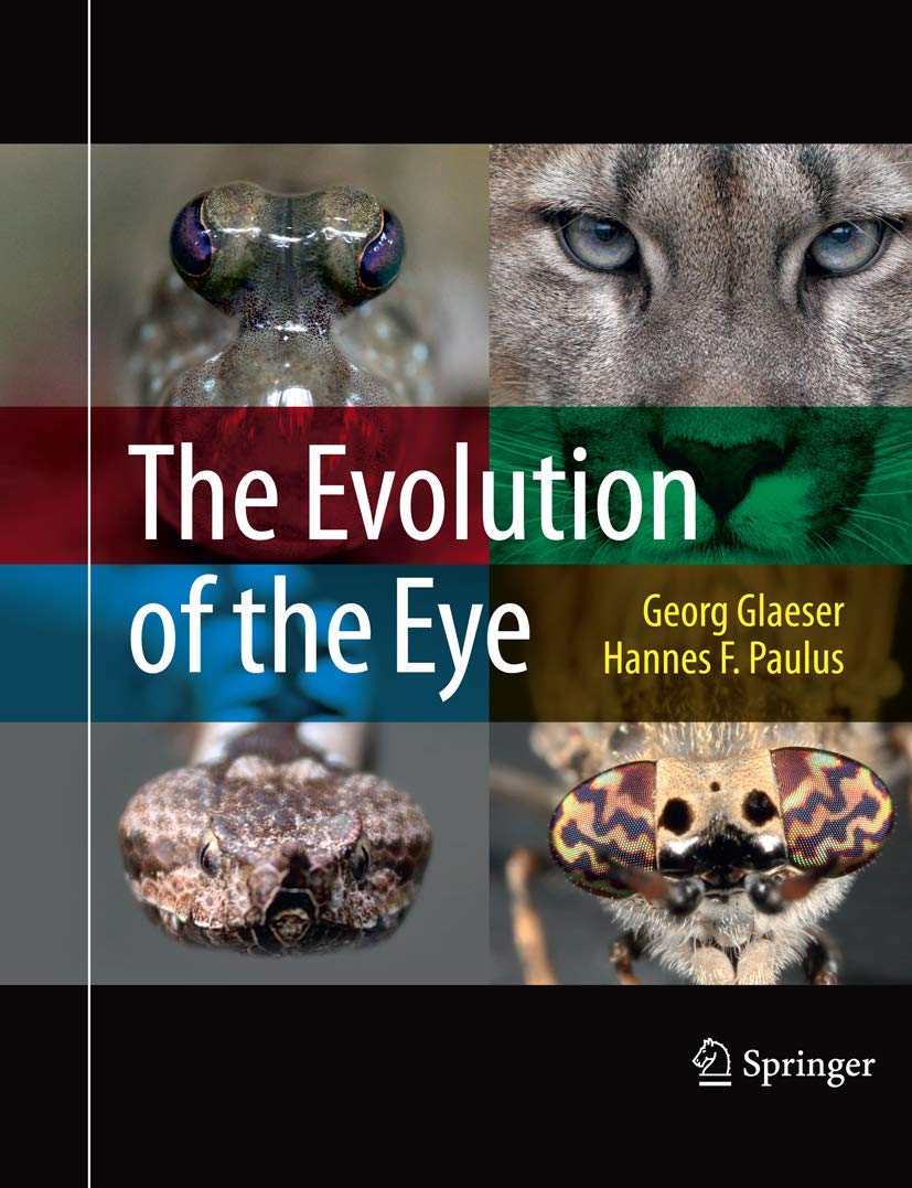 Amazon | The Evolution of the Eye | Glaeser, Georg, Paulus, Hannes