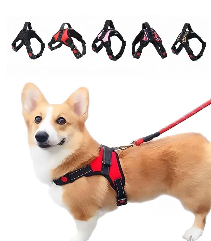 Amazon | 犬 ハーネス かわいい おしゃれ 胴輪 散歩 小型犬 中型