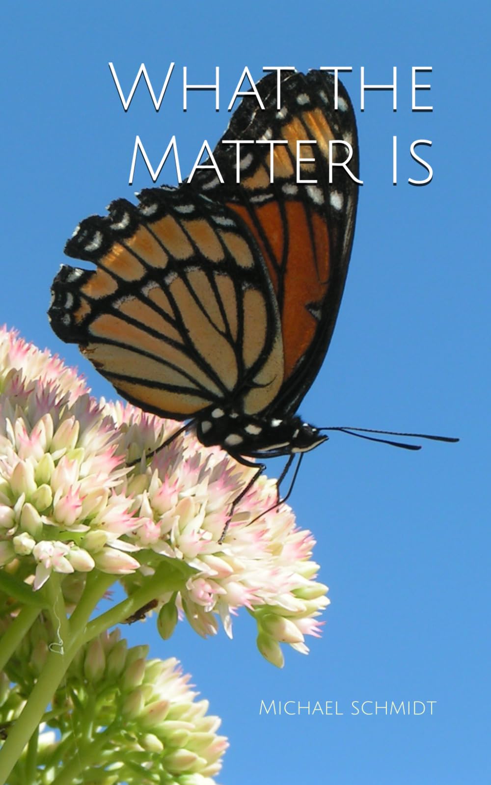 What the Matter Is