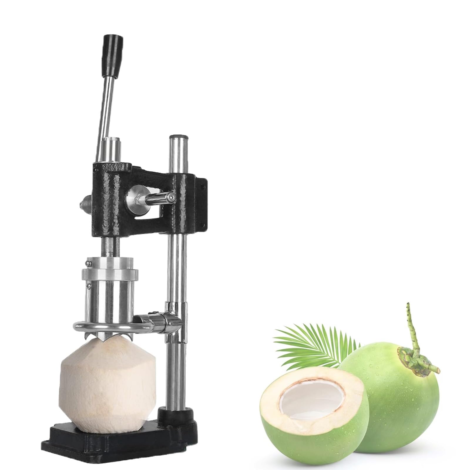 Ouvre-noix de coco mécanique en acier avec socle de moulage stable