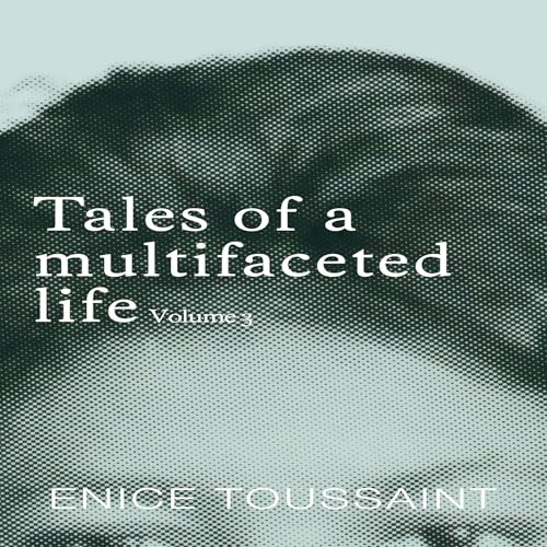 『Tales of a Multifaceted Life, Volume 3』のカバーアート