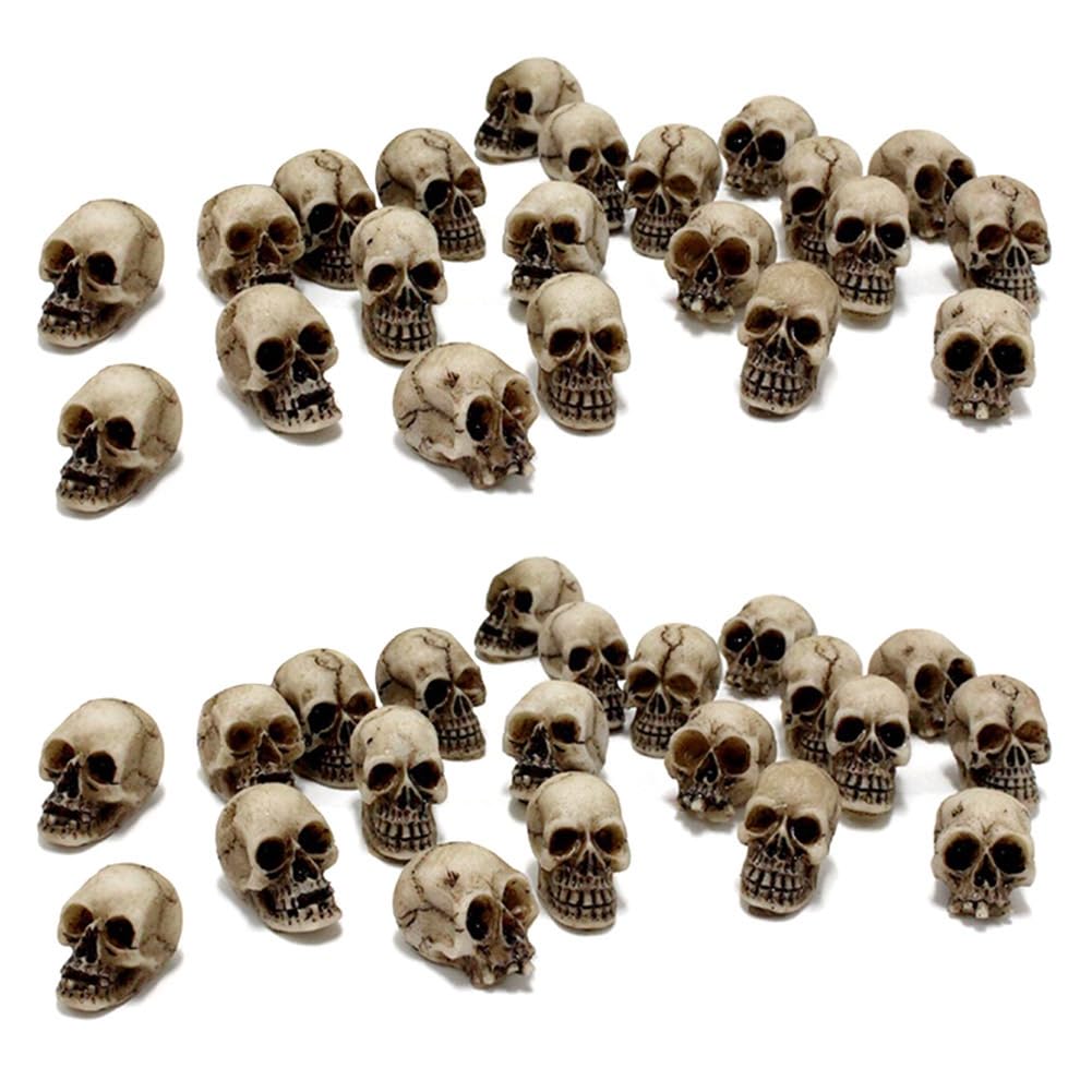 CTRLZS 40Piece Skulls Human Head Skull Realistic Skeleton Skulls for Halloween Table Decor