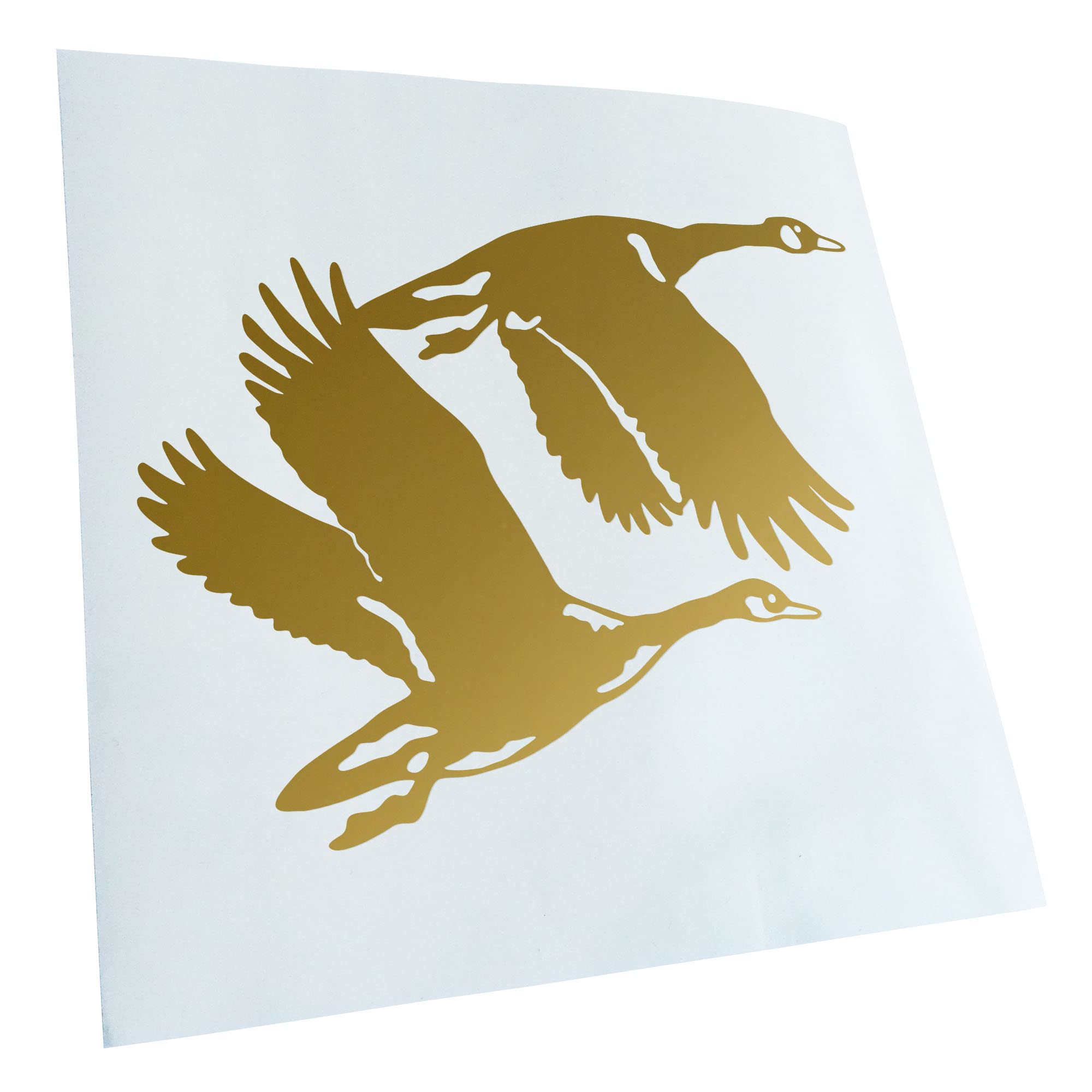 Kiwistar - Car Sticker - Gold - 40 x 31 cm Ducks - Ducks - Duck - Rear Window Car Sticker Weatherproof for Car Truck Moped Truck - Sticker Exterior Self-Adhesive Tuning Accessories for Window Vehicle