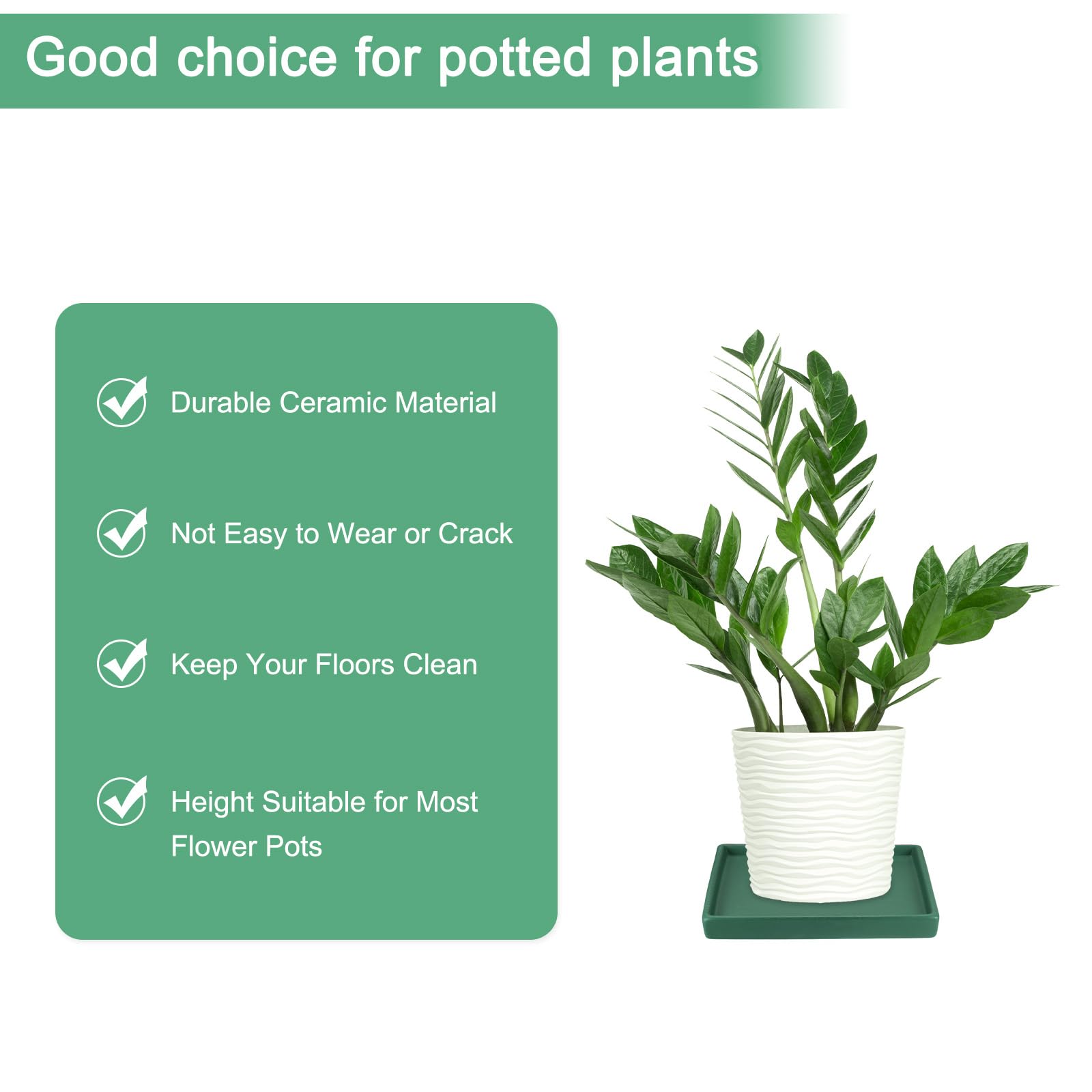 M METERXITY Ceramic Plant Saucer, 8 Inch Plant Water Catcher Tray - Image 3