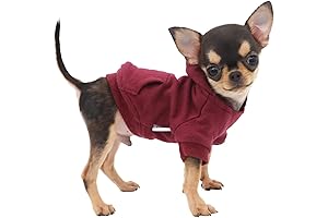 LOPHIPETS Lightweight Chihuahua Hoodie