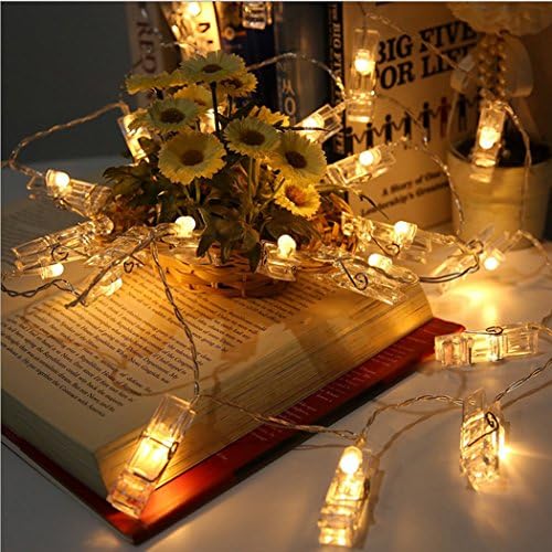 DPWELL LED Photo Clip String Light,40LED Photo Clips Battery Powered 4.8M/15.7Ft Photo Window Hanging Fairy Lights for Decoration Hanging Photo, Notes, Artwork with Remote Control(8 Modes),Warm White