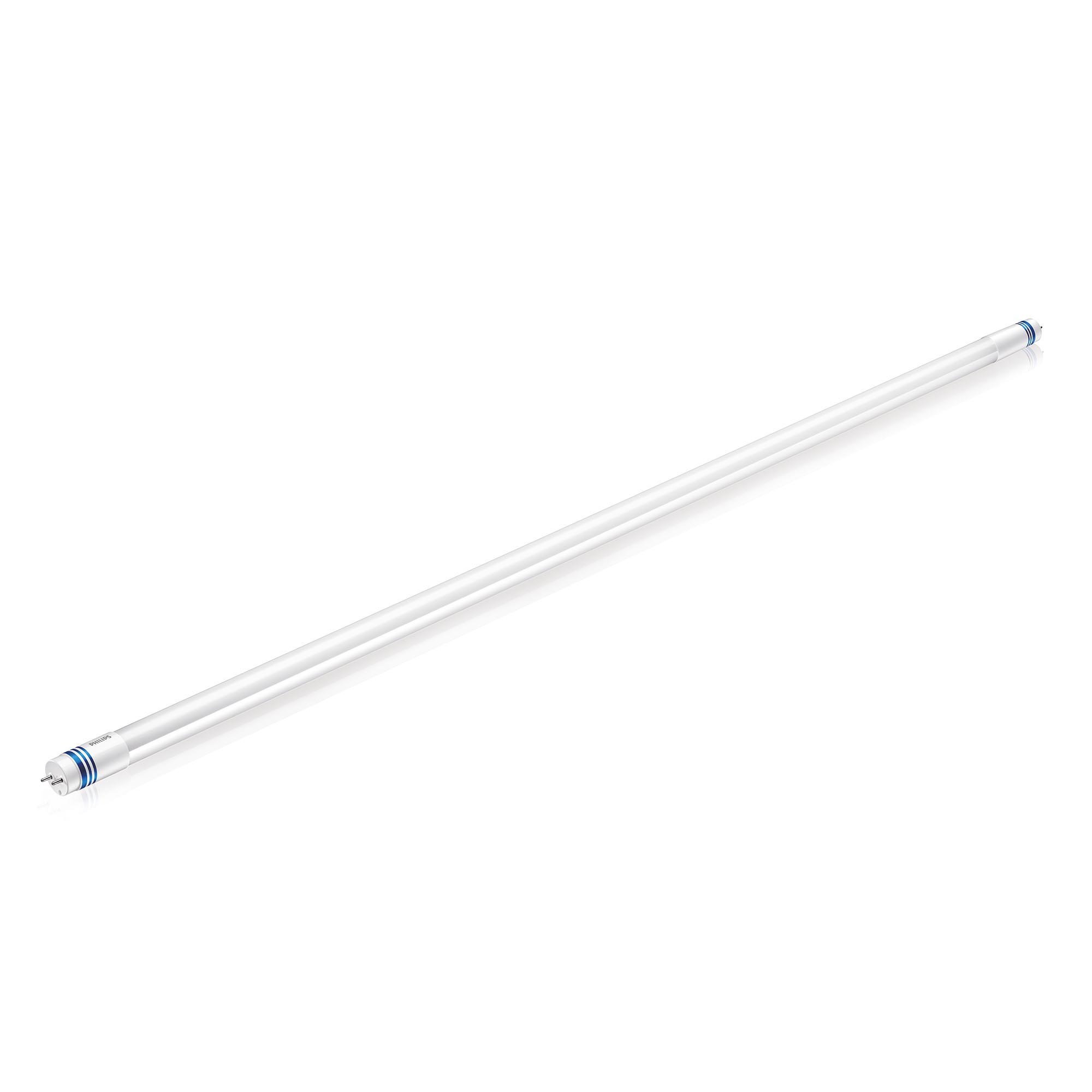 Philips Master LED Universal 1200 mm uo 16 W865 T8 16 W G13 A + + Daylight LED Bulb – LED Bulbs (Daylight, White, A + +, 50 – 60, 75 mA, 220 – 240 V)
