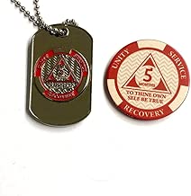 MyRecoveryStore AA or NA Monthly Dog Tag with Sobriety Chip (1-11) - coolthings.us