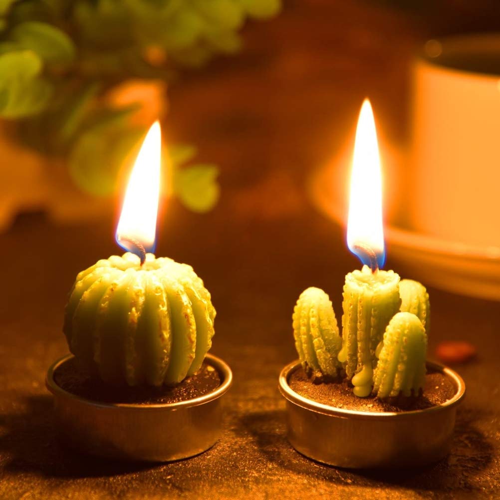 Weinsamkeit Bougies Chauffe-Plat En Forme De Cactus - Lot De 12 - Pour Décoration Mariage, Spa, Maison