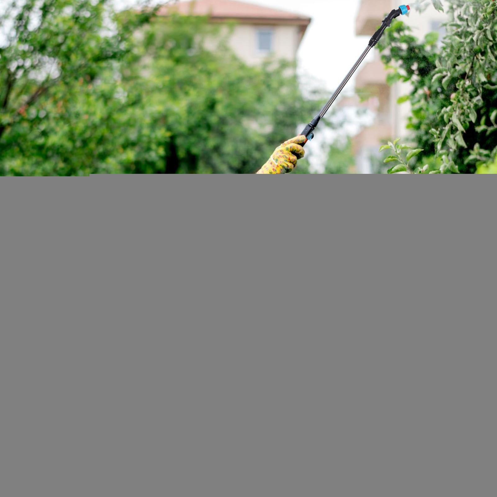 Spruzzatore A Batteria - Spruzzatore Di Pressione Del Giardino Pompa Acqua