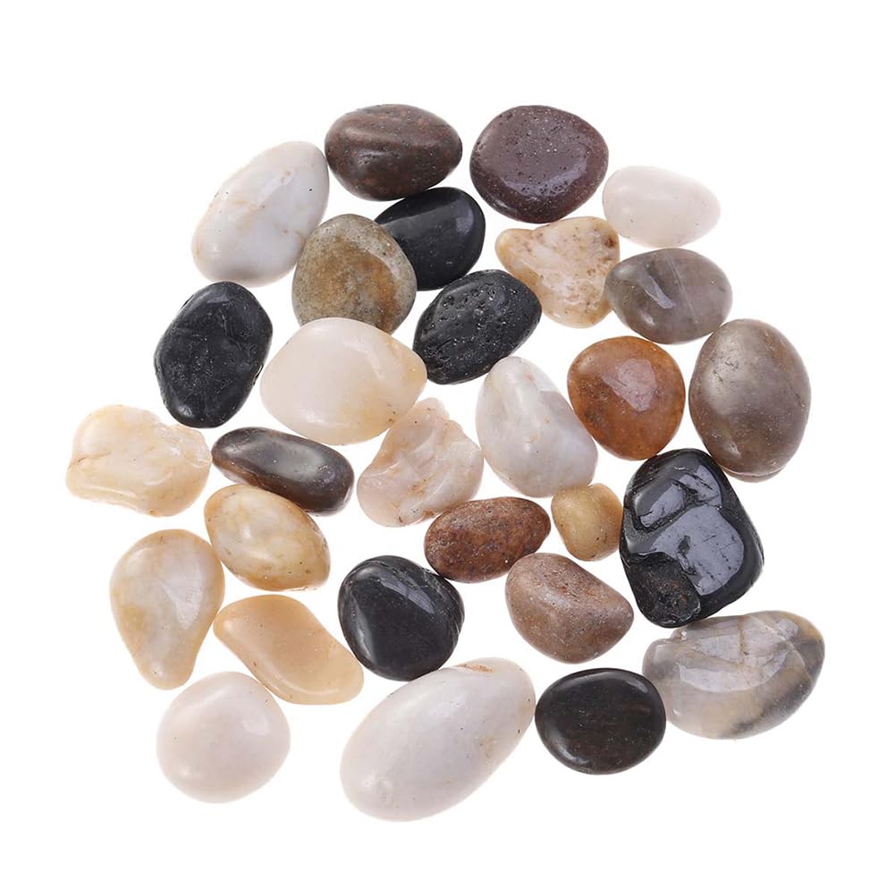 YARNOW 1 set di ciottoli di fiume per piante da, ghiaia naturale per acquario, pietre decorative per l'abbellimento del paesaggio dell'acquario (1000 g)