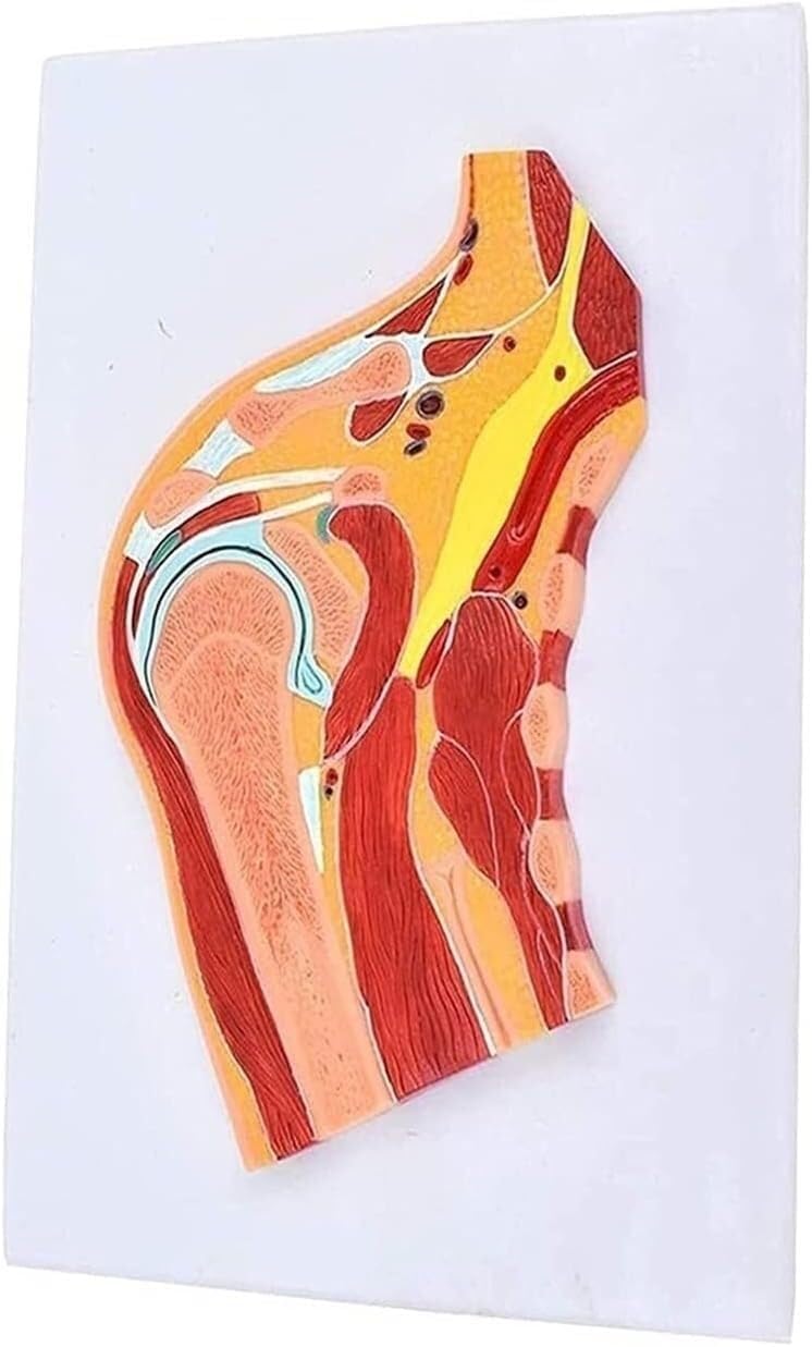 PATRICK COX アクセサリーカタログ24冊(18種)2005 レア☆PATRICK COX