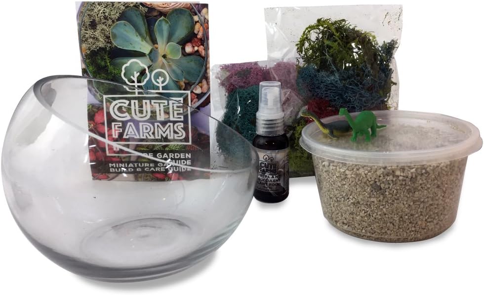 Cute Farms 6" Angle Cut Glass Bowl | Add Your Own Plant Terrarium Kit + Plant Food (Vibrant Moss)