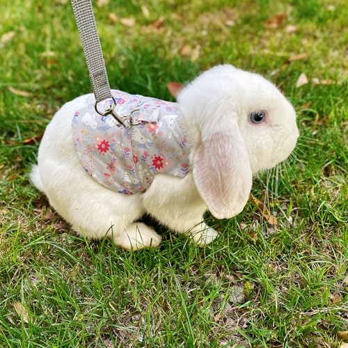 Image of 2 Sets Rabbit Harness and Leash, Cute Adjustable Bunny Clothes Harness Escape Proof Pet Supply (Grey, M)
