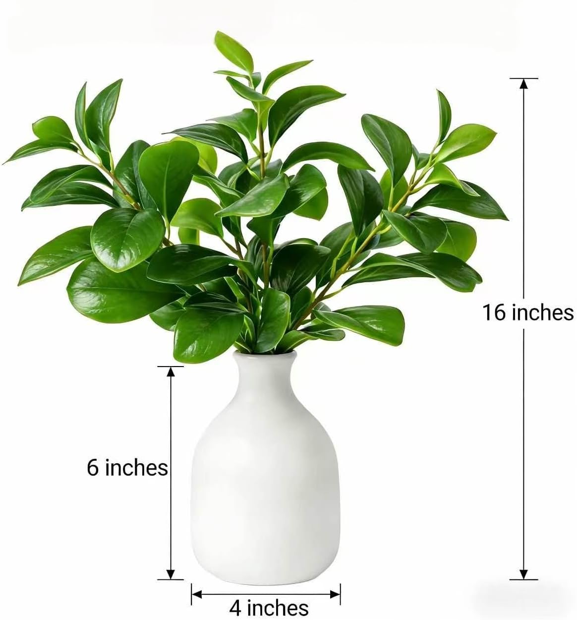 16" Artificial Peperomia in White Ceramic Bud Vase Lifelike Two-Tone Green Leaves Faux Plant Table Centerpiece for Indoor Home Office Shelf Desk Bathroom Decor