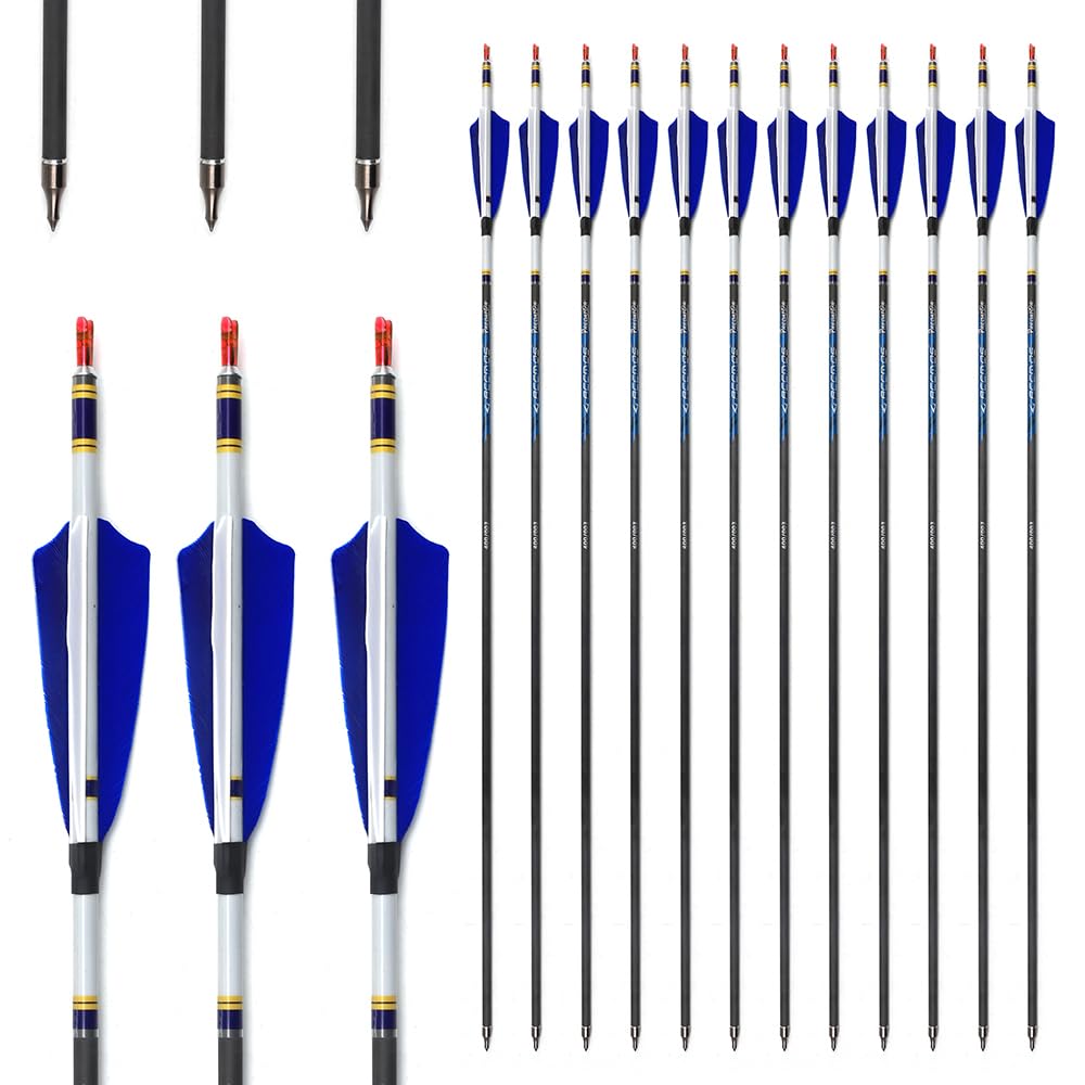 12pc 31-Inch 400-Spine Arrow Removable Tips Targeting Hunting Arrow 4" Turkey Feather Feathered Carbon Arrows for Traditional Bow Long-Bow Recurve Bow Compound Bow Adult Youth Archery Blue A28