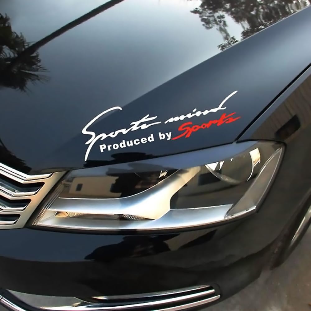 WENINETIES Car Body Side Sticker for Fiat 500 PANDA PUNTO UNO DUCATO LINEA ARGO DOBLO Idea, Headlight Decal Auto Exterior Sticker Emblem Badge Auto Tuning Decoration Cover Decal,White-1