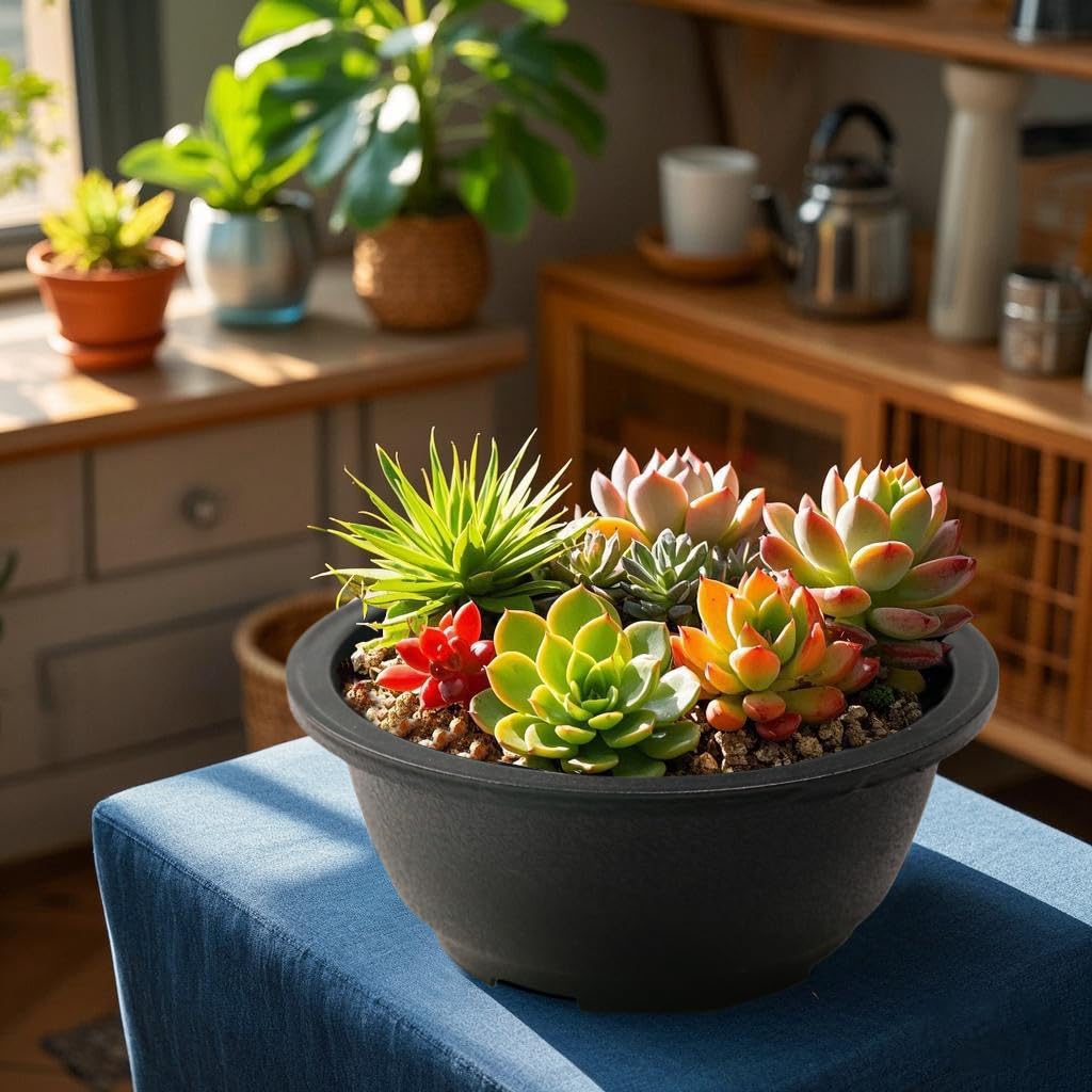 Amazon.com : MUZHI 12 Pack Matte Finish Black Round Bonsai Bowl