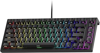 Amazon | 【国内正規品】Akko(アッコ) TAC75 HE 75%英語配列 0.005mm