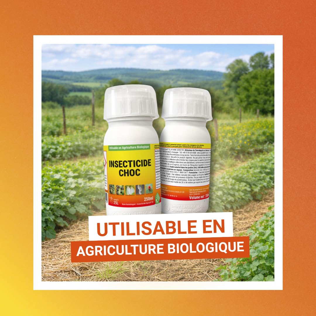 Protecta Insecticide Choc Jardin Concentré - Insecticide Pucerons, Cochenilles, Thrips, Acariens & Araignée Rouge - Plantes, Rosiers et Potager – Utilisable en Agriculture Biologique – 250 ML