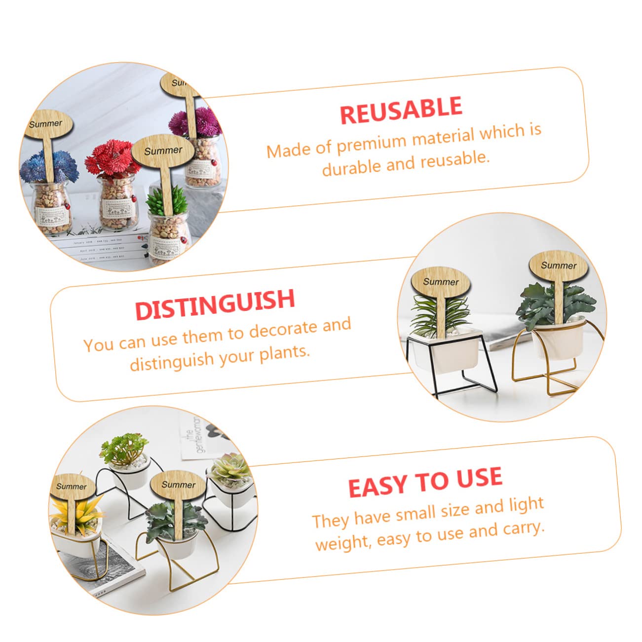 INOOMP Lot De 3 Étiquettes Pour Plantes Dextérieur Marqueurs De Jardin En Bois Réutilisables Pour Projets Scolaires 50 Pièces X 3