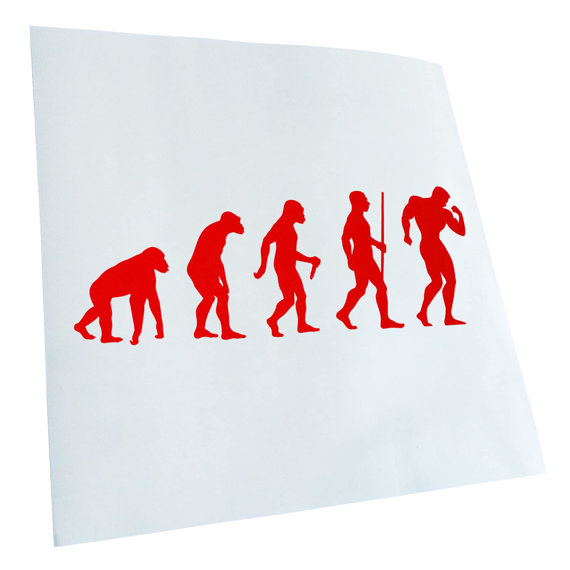 Kiwistar - Car Sticker - Bodybuilding Evolution - Red - 30 x 11 cm - Rear Window Car Sticker Weatherproof for Car Truck Moped Truck - Sticker Exterior Self-Adhesive Tuning Accessories for Window