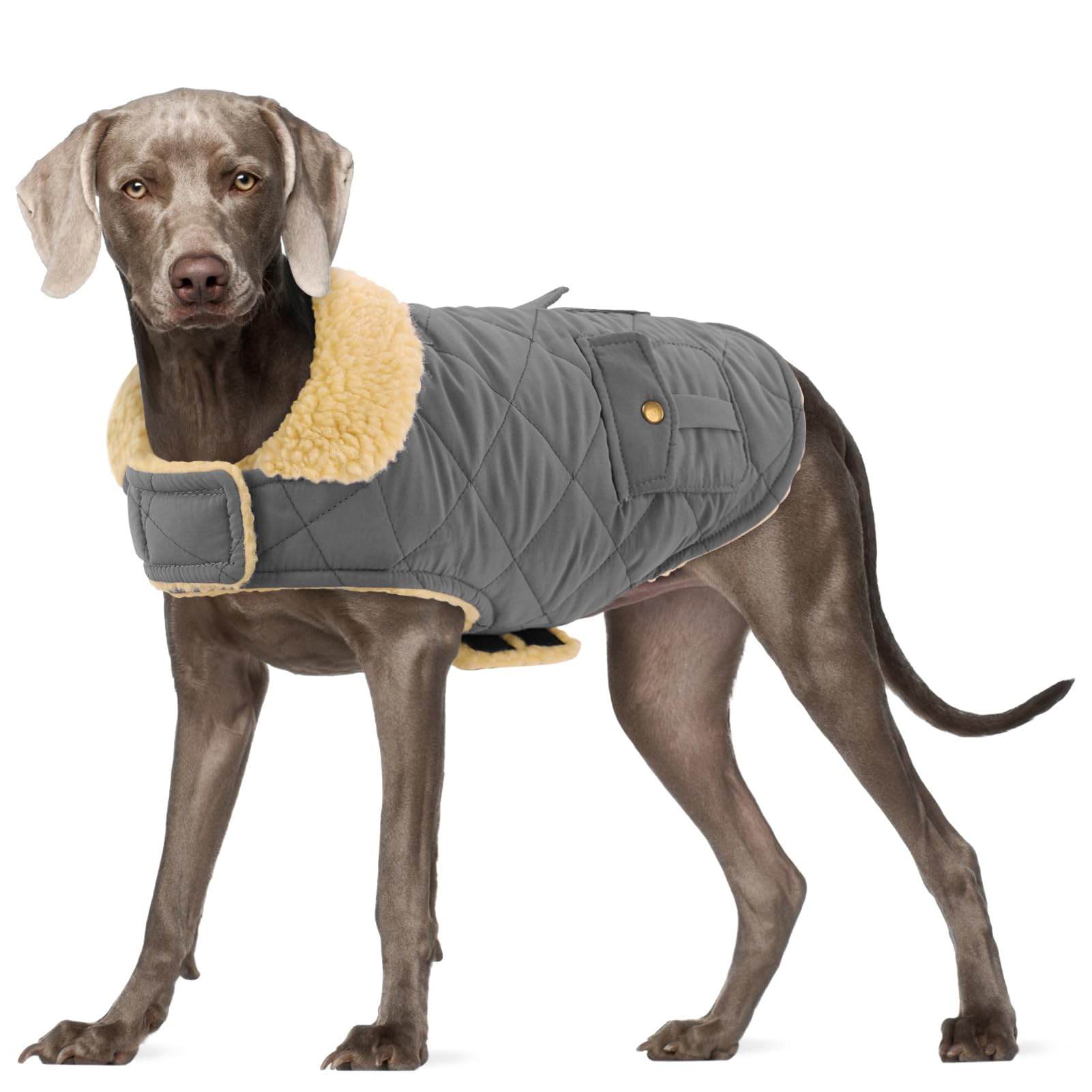 Preferhouse Large Dog Coat