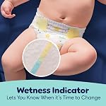 Pampers ZZZ Overnight Diapers, Size 7, Nighttime Protection Disposable Baby Diaper, 1 Pack (Count of 36)