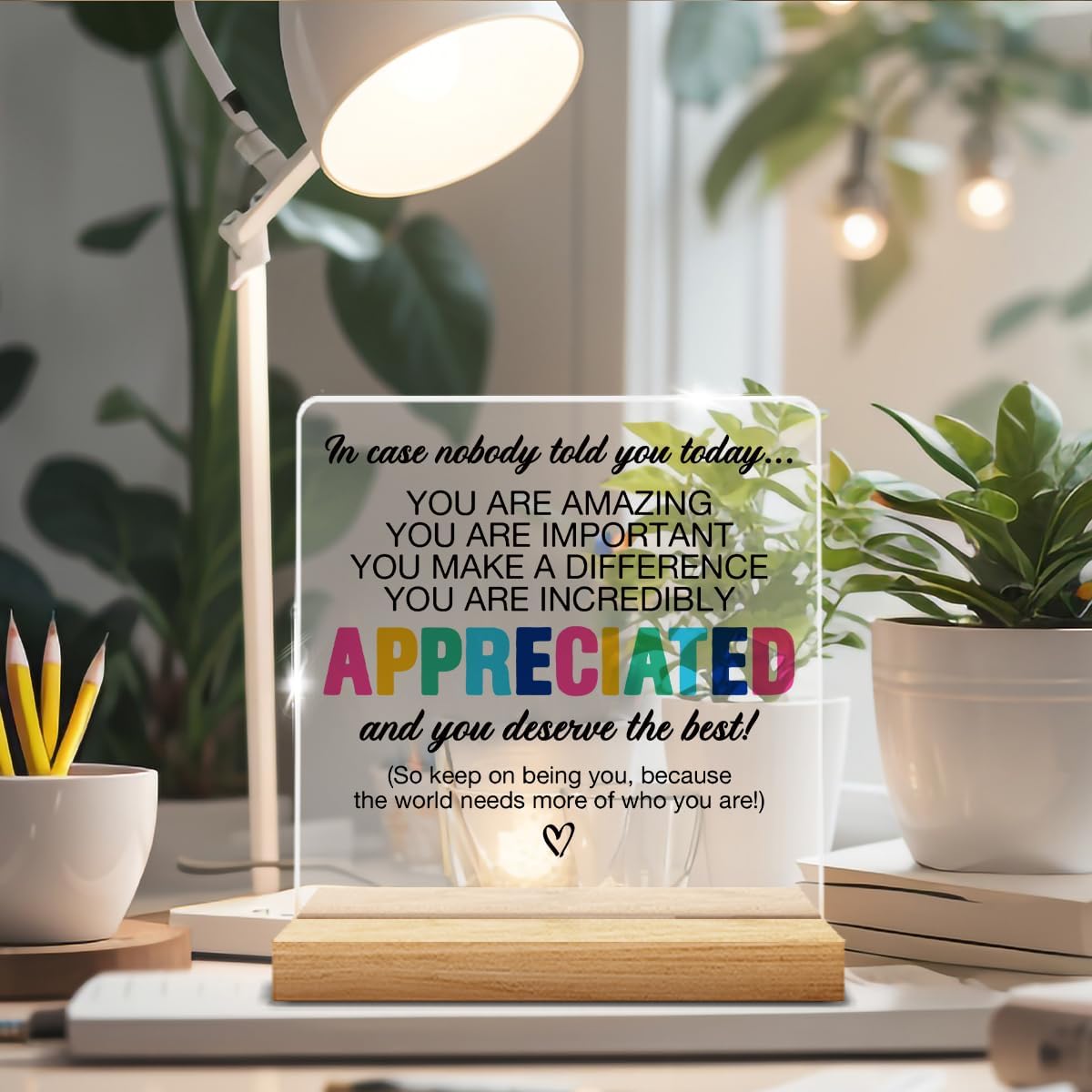 Thank You Appreciation Gifts for Colleague Coworker Boss Teacher, Inspirational Gifts for Women Men, Affirmation Gifts You Are Incredibly Appreciated Acrylic Desk Sign Decor - Image 5