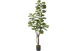 CAPHAUS Faux Fig Tree 6ft