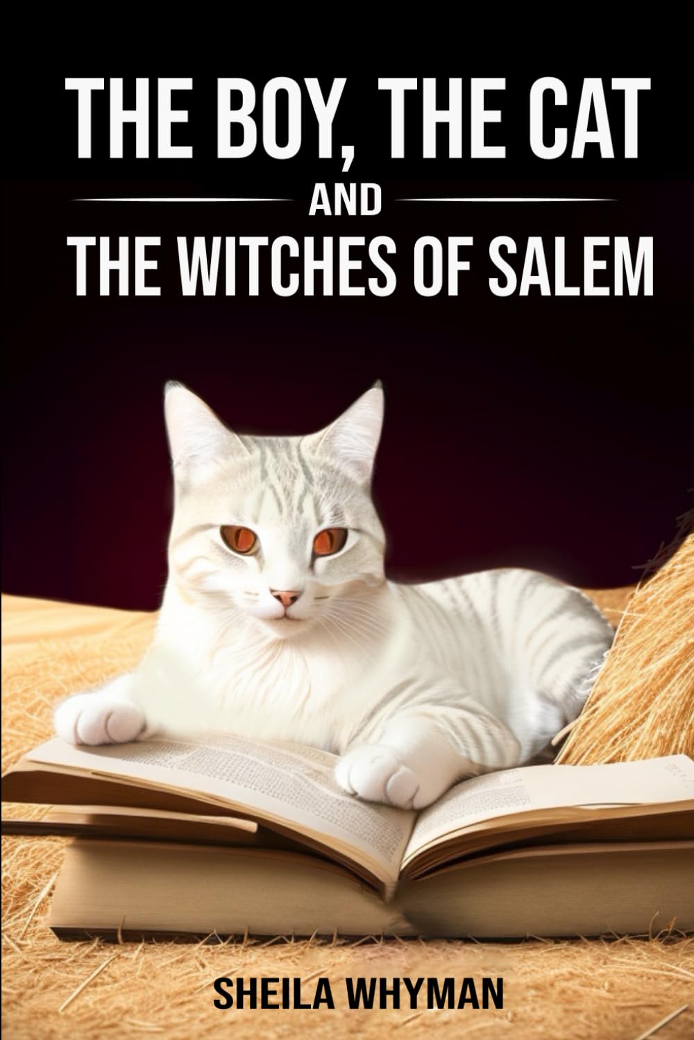 The Boy the Cat and the Witches of Salem (The Catalogues)