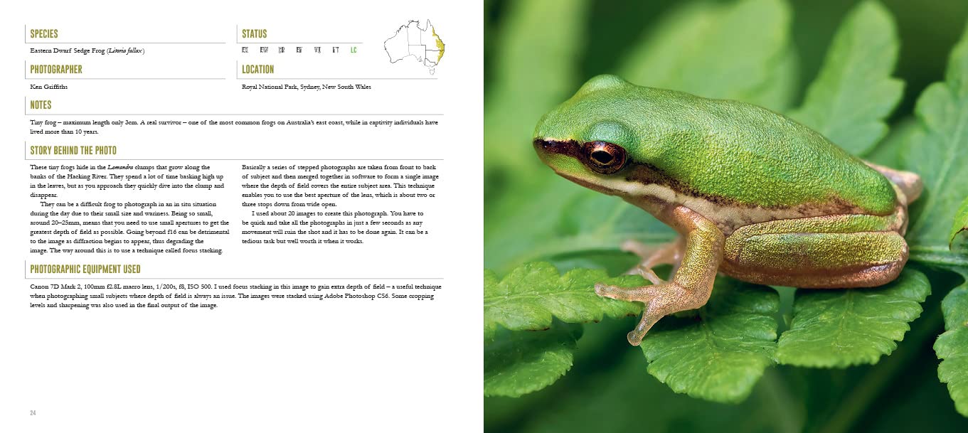 A Tribute to the Reptiles and Amphibians of Australia and New Zealand