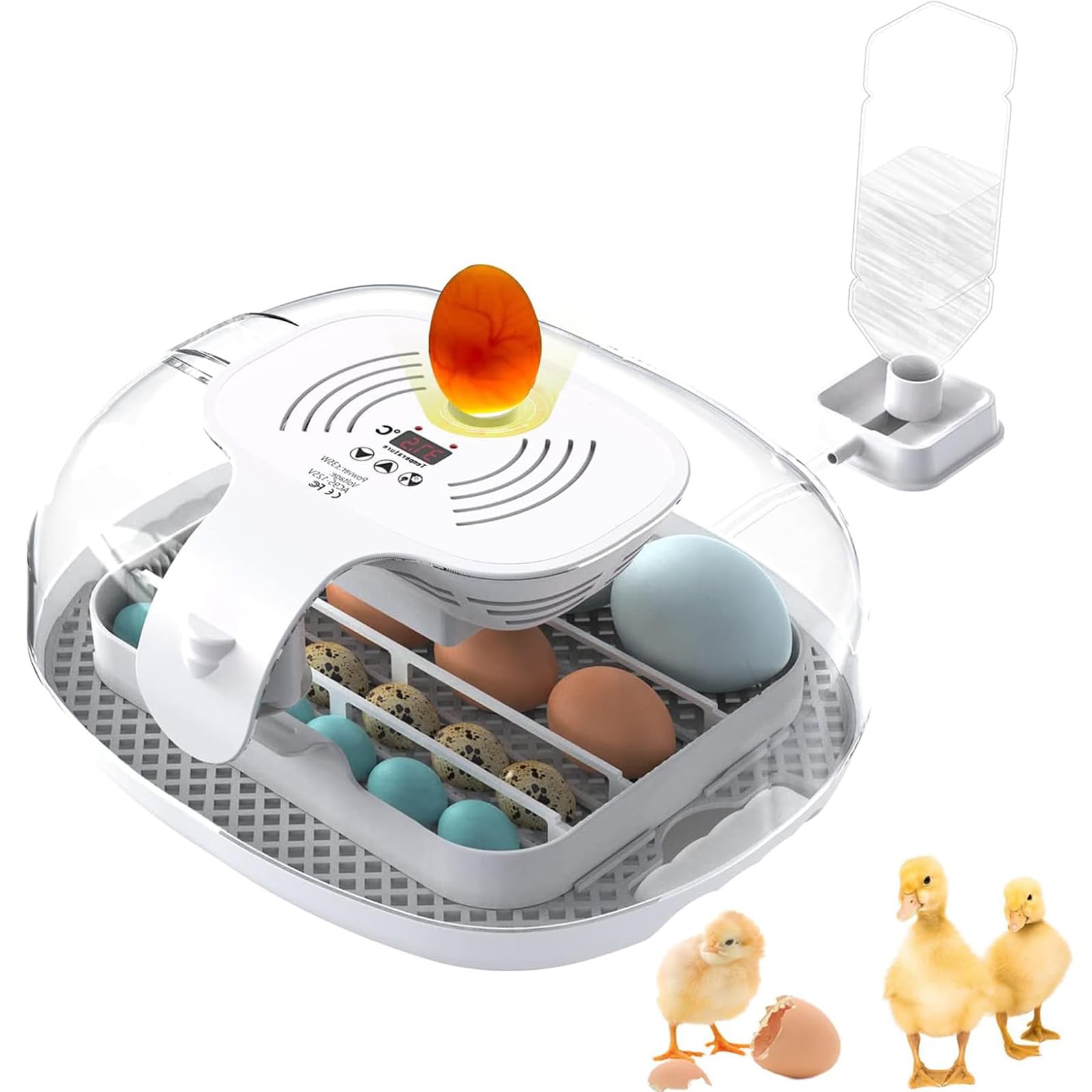 Incubatrice Automatica per Uova, Piccola Incubatrice Digitale può Contenere 16 Uova, con Girauova Automatico e Controllo della Temperatura, Candela per Uova a LED, Incubatrici per Uova