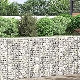 Giardinaggio rialzato con stile: Trasforma il tuo spazio verde con queste pratiche fioriere a gabbione! Ideali per chi cerca un'alternativa moderna ai vasi tradizionali, perfette per piante aromatiche e fiori.