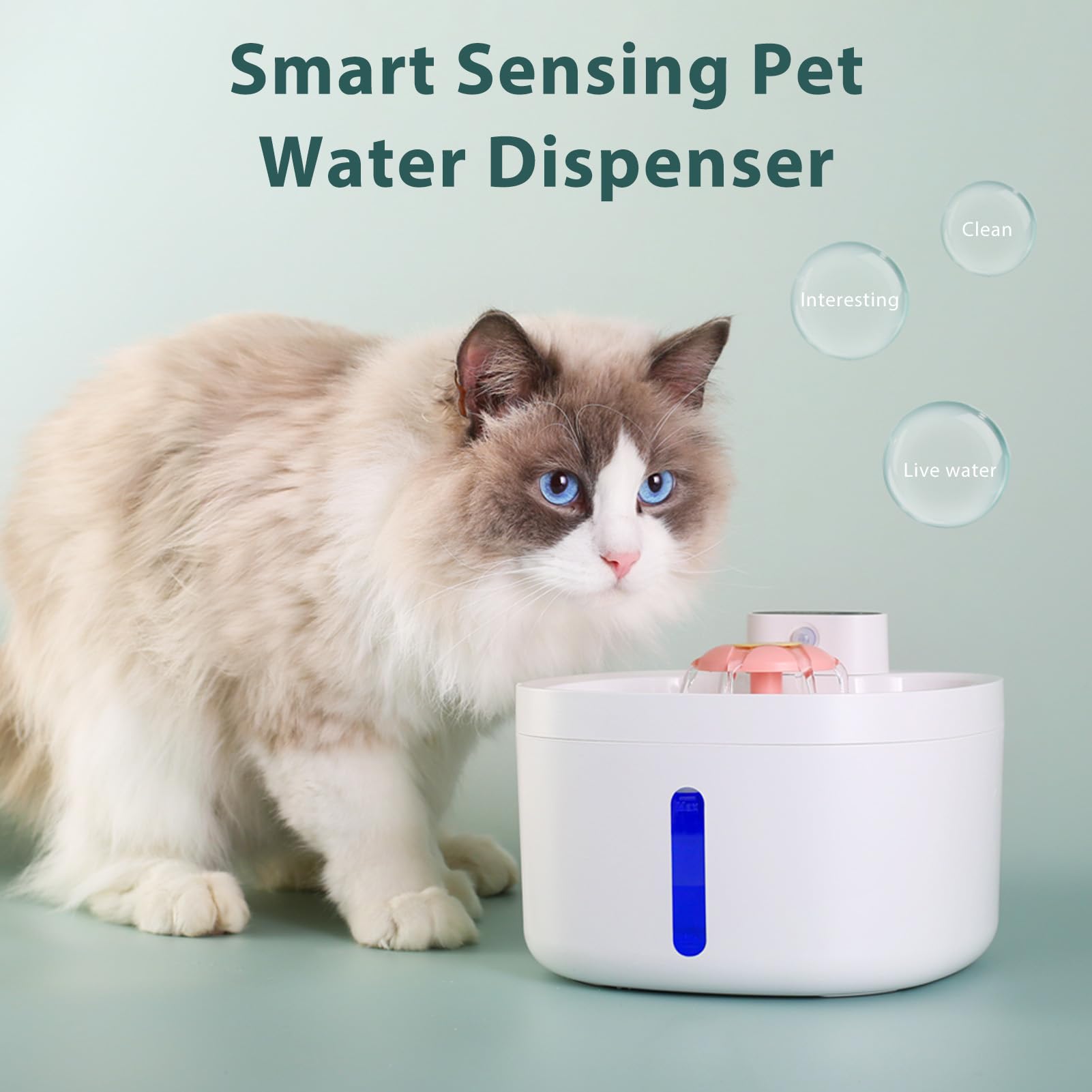 Fontana per Gatti, Distributore D'acqua Wireless, Filtrazione a 5