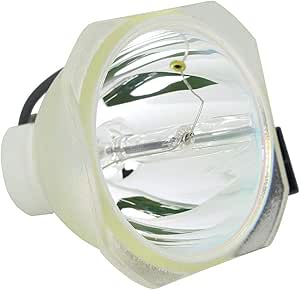 Amazon.com: for NEC NP42LP Lamp Only by LucentBulb : Electronics