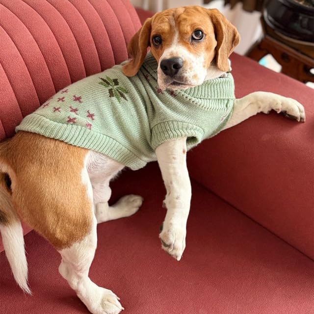 Image of Lulala Turtleneck Dog Sweater - Winter Coat Apparel Classic Cable Knit Clothes with Leash Hole for Cold Weather, Ideal Gift for Pet (Green, 8 Inch)
