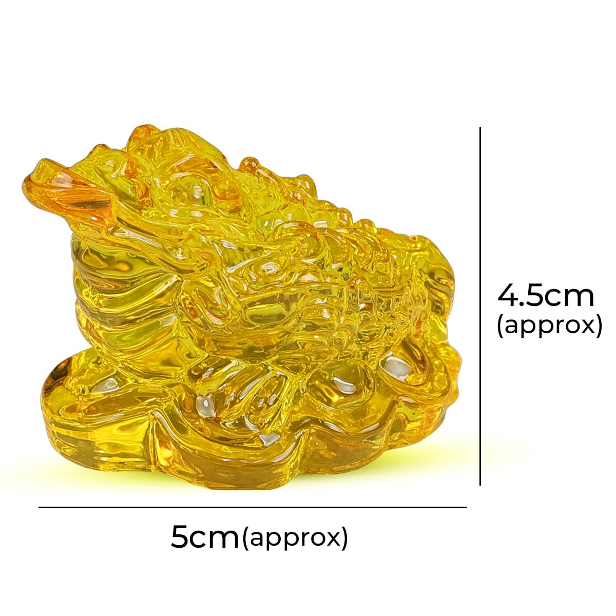 小物 Frog 61MKUcGGyOL._AC_UF894,