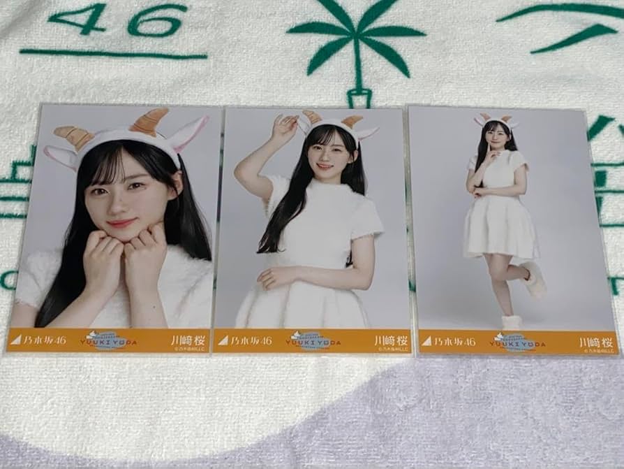 乃木坂46 生写真　コンプ 乃木坂46 生写真 コンプ