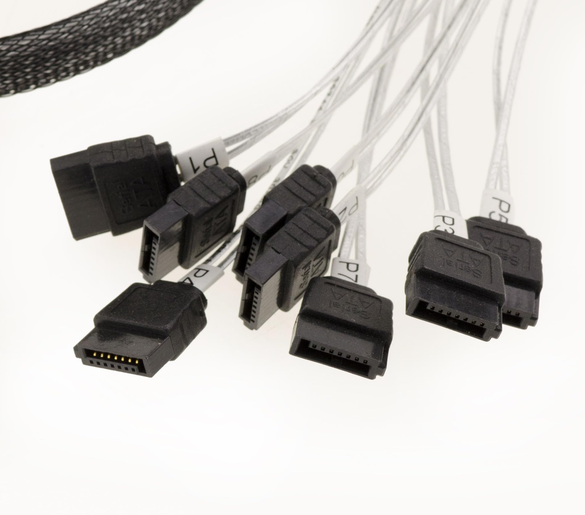 KALEA-INFORMATIQUE Cordon câble PCIe 4.0 avec connecteurs Slim SAS SFF-8654 8i 74 broches vers 8x SATA longueur 80cm