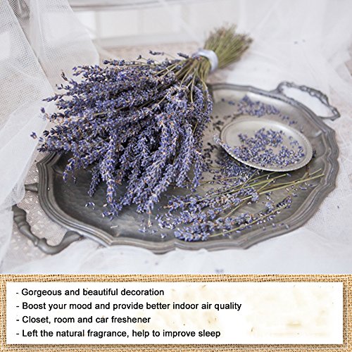 Wgia Natural Dried Lavender Bundles - Freshly Harvested Lavender Bunch Royal Velvet Decorative Flowers Bouquet For Wedding Diy Home Party & Valentine's Day Gifts - 1 Bundle Pack #TOP2