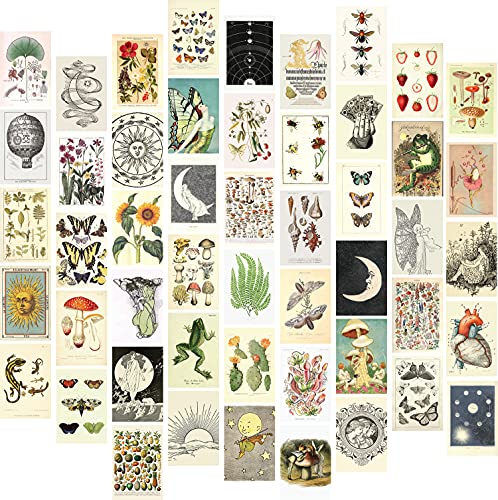 Artivo Vintage Wall Collage Kit Aesthetic Pictures 50 Set 4x6 inch, Vintage Posters Aesthetic, Vintage Aesthetic Room Decor, Teen Dorm Wall Decor